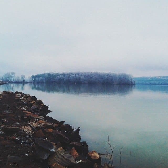 Trees covered in ice on an island in the middle of lake.