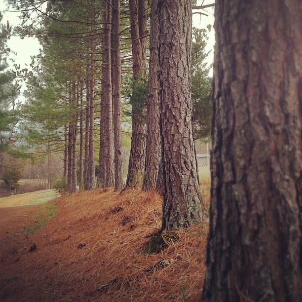 Cover image for The End of an IG Era: Why I Left Instagram.